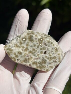Ocean Jasper Crystal Small Freeform Slab